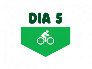 Dia 5 