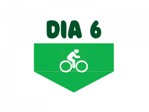 Dia 6 